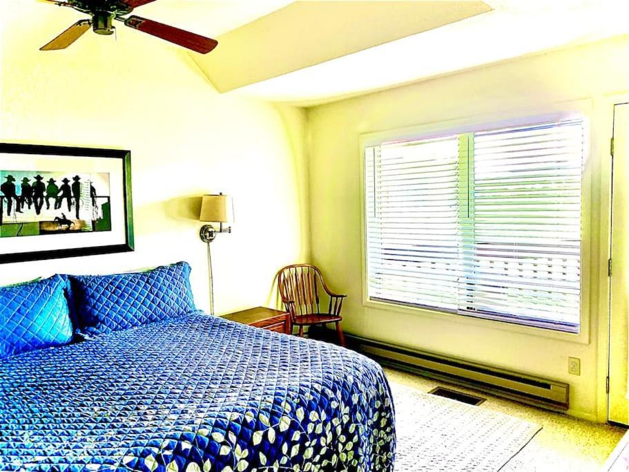 Willa Talisman Amazing Views Walk To Uptown Sleeps 4 Pagosa Springs Zewnętrze zdjęcie